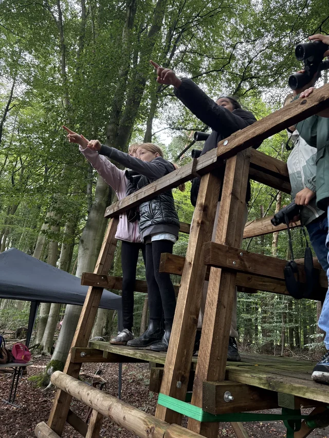 Waldjugendspiele: Kinder erkunden gemeinsam eine Station aus Holz.