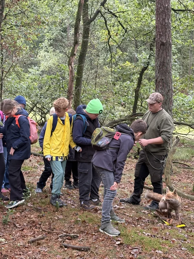 Schülergruppe erkundet eine Waldstation zwischen den Bäumen.