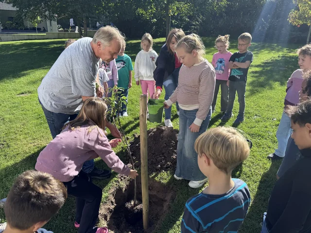 Kinderparlament pflanzt mit Erwachsenen einen Birnbaum.