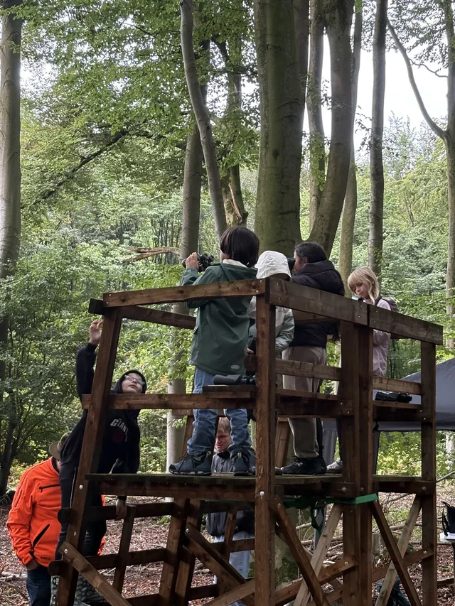 Schülerinnen und Schüler an einer Holzstation der Waldjugendspiele.
