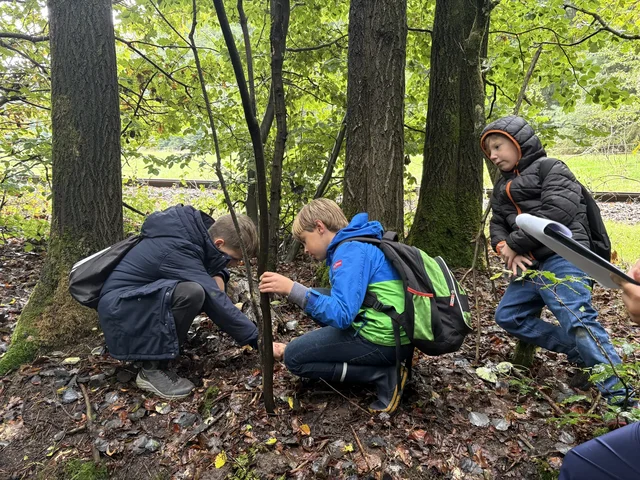 Kinder arbeiten bei einer Aufgabe auf dem Waldboden zusammen.
