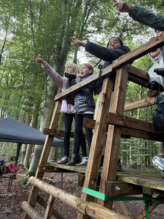 Kinder klettern und balancieren an einer Station im Wald.