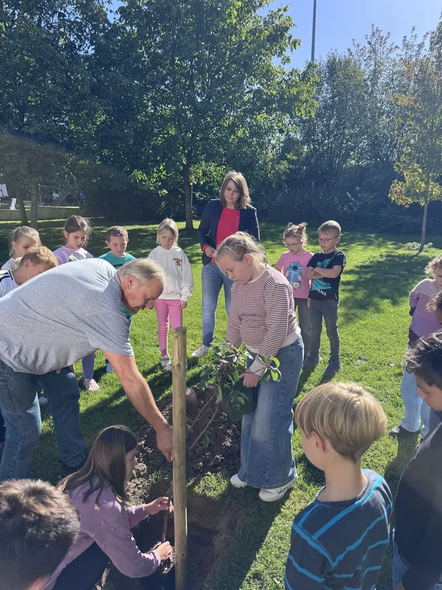 Kinder helfen beim Pflanzen des Birnbaums auf der Schulwiese.