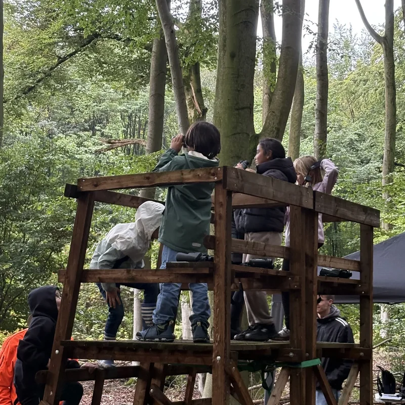 Kinder erkunden bei den Waldjugendspielen eine Holzstation im Wald.