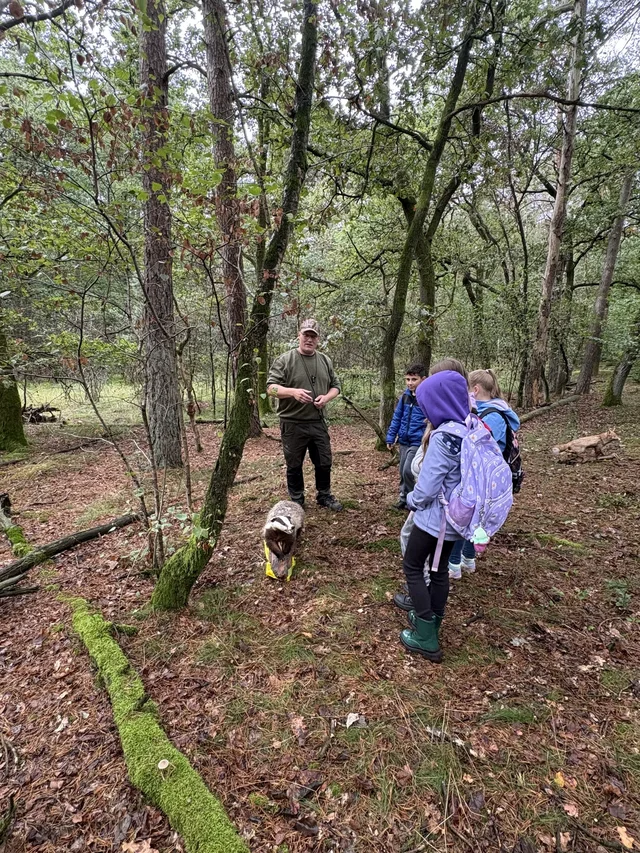 Kinder betrachten etwas auf dem Waldboden.