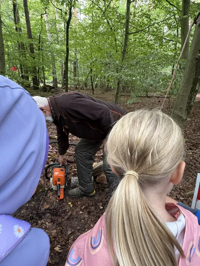 Kinder beobachten eine Aufgabe am Waldboden.