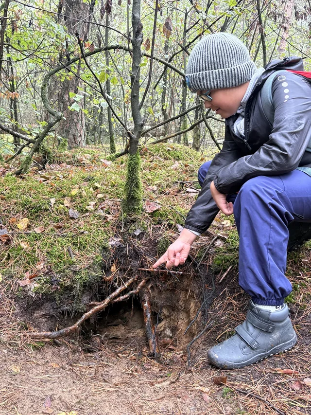 Kind untersucht den Waldboden bei den Waldjugendspielen.