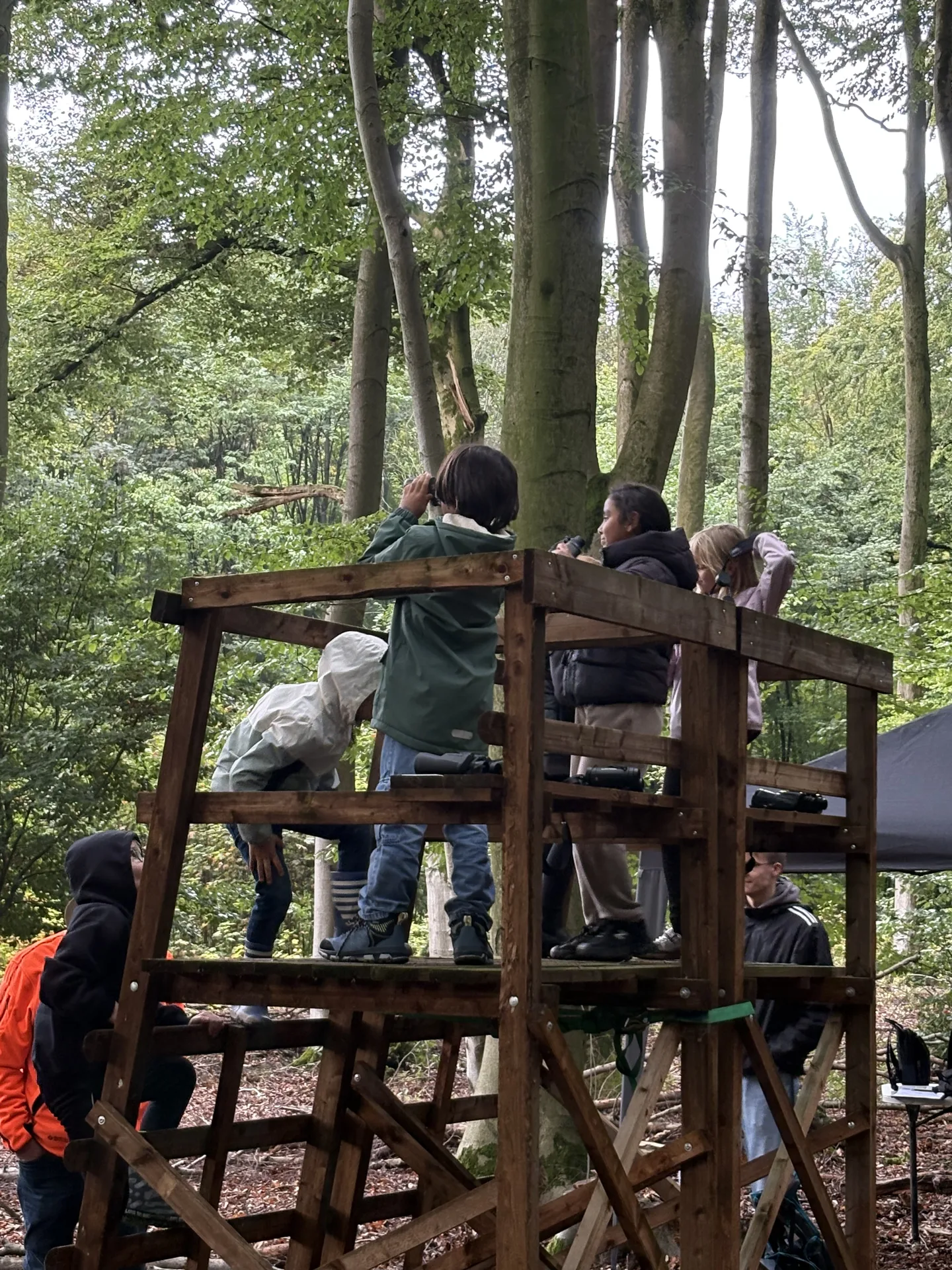 Kinder erkunden bei den Waldjugendspielen eine Holzstation im Wald.